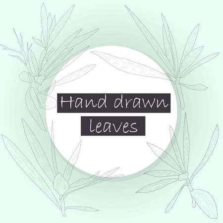 Hand drawn leaves isolated on light background only outline. Collection of leaves. Vector set. Sketchesのイラスト素材