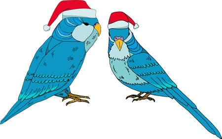 Winter paysage with a budgerigar. Cute merry Christmas poster design with vector parrot in hat.の写真素材