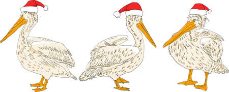 Christmas card hand drawn seamless pattern pelican with red Santa hatのイラスト素材