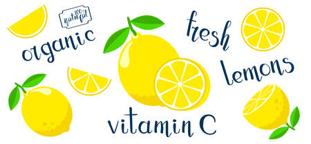 A set of cut and whole lemons with handwritten fruit-related marketing descriptions. Flat style editable vector illustration with hand drawn inscriptions.のイラスト素材