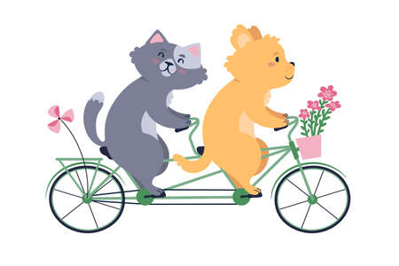 Cute animals riding a tandem bike. Cat and dog together on a bicycle. Flat style vector ilustration.のイラスト素材