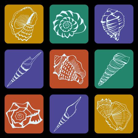 Seashell - hand drawn pattern, set icons. Vector print for design.のイラスト素材