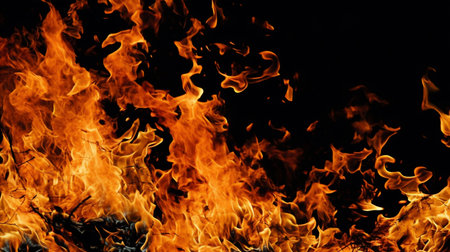 Fire flames on black background. Closeup of fire flames isolated on black backgroundの素材