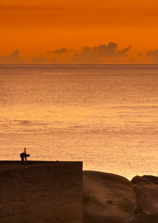 photographer and the sunsetの写真素材