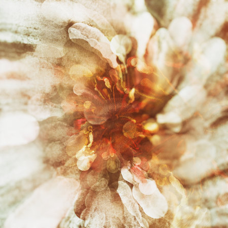 bright white autumn sakura blooms flowers on a white background paint drawing artの写真素材