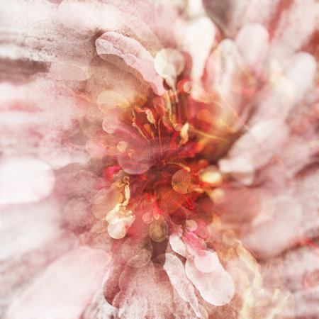 bright pink sakura blooms flowers on a white background paint drawing artの写真素材