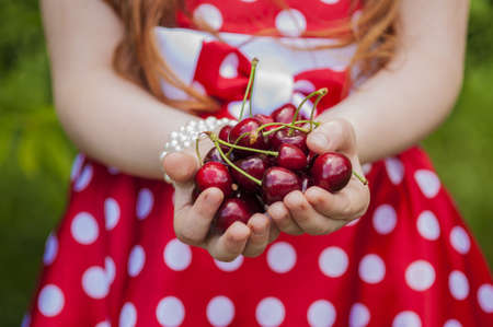 cherry in children's handsの写真素材