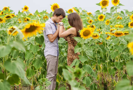 Young girl and a young man in the field of sunflowersの写真素材