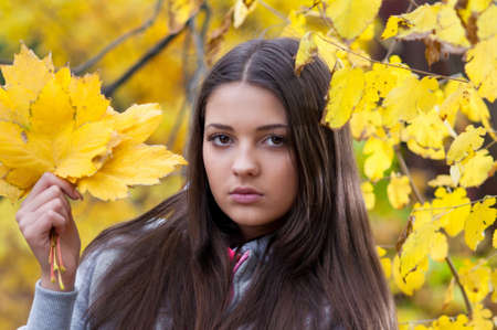 Young girl in a park in autumn with yellow leavesの写真素材