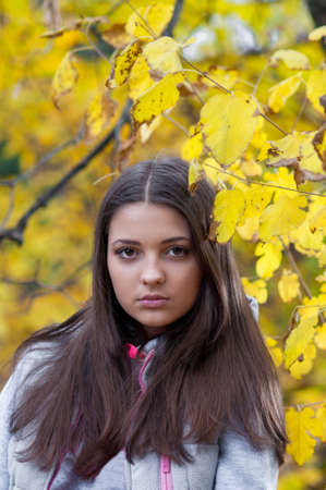 Young girl in a park in autumn with yellow leavesの写真素材