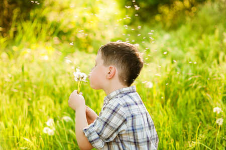 Boy on summer nature with dandelions の写真素材