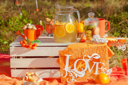 Decorated picnic with oranges and lemonade in the summer garden