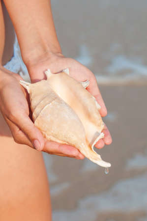 girls hand holding a shell on the beach
