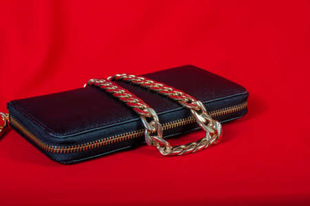 Purse and a necklace on a red backgroundの写真素材