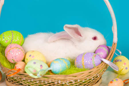 white Easter bunny with basket and colored eggs