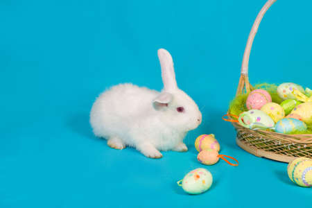 white Easter bunny with basket and colored eggsの写真素材