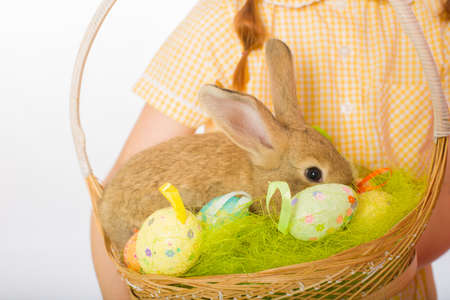 rabbit in a basket easter eggs