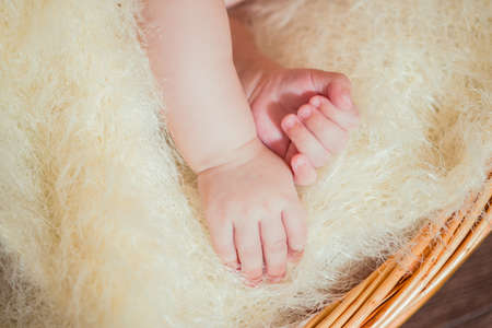 Hands of little baby in a basketの写真素材