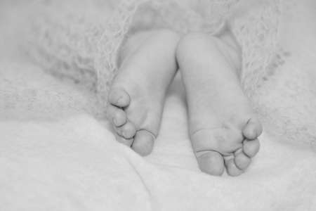 Feet small baby on a white bedの写真素材
