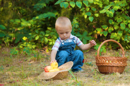 Little boy with a basket of apples in the autumn park