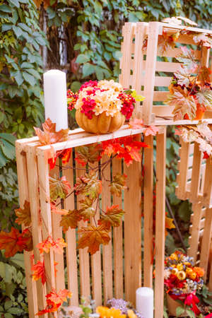 Beautiful autumn. Autumn scenery in nature. Apples and orange pumpkins in a clearing in an autumn parkの写真素材
