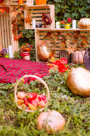 Beautiful autumn. Autumn scenery in nature. Apples and orange pumpkins in a clearing in an autumn parkの写真素材