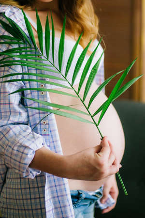 Young beautiful pregnant woman in blue jeans and a light shirt. Pregnant woman with a branch of a green fern in her hands. Eco lifestyleの写真素材