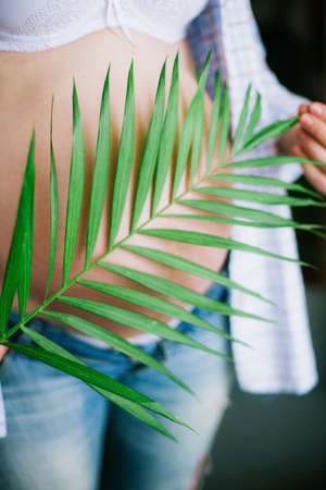 Young beautiful pregnant woman in blue jeans and a light shirt. Pregnant woman with a branch of a green fern in her hands. Eco lifestyleの写真素材