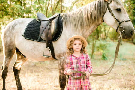A nice little girl with light curly hair in a vintage plaid dress and a straw hat and a gray horse. Rural life in autumn. Horses and peopleの写真素材