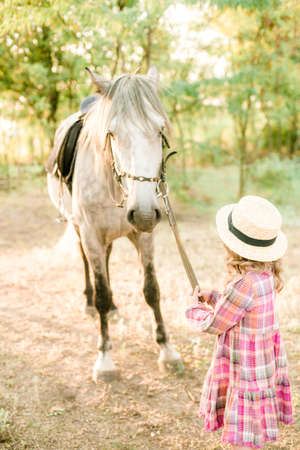 A nice little girl with light curly hair in a vintage plaid dress and a straw hat and a gray horse. Rural life in autumn. Horses and peopleの写真素材