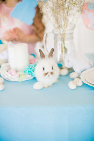 Little cute girl with little bunnies and Easter decor at homeの写真素材