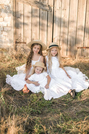 little girls with blond hair in a summer fieldの写真素材