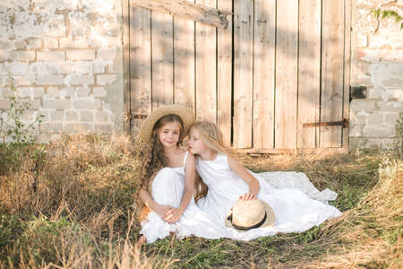 little girls in a summer field at sunsetの写真素材