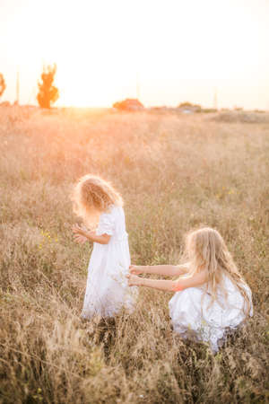 girls in a summer field at sunsetの写真素材