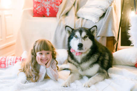 Cute girl with long hair with a dog breed Malamute in the room with Christmas decorations and gifts. Christmas moodの写真素材