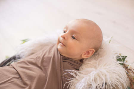 little cute baby boy lies in a basket of vines decorated with green flowering branches. Spring moodの写真素材
