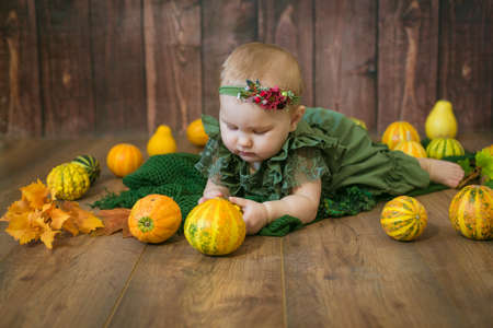 Cute little girl up to 1 year old in a green cute dress and a floral wreath with small yellow and orange pumpkins on a brown wooden backgroundの写真素材