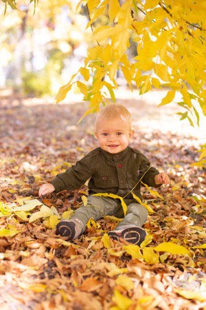 A little boy plays in the autumn park in yellow leaves. autumn moodの写真素材
