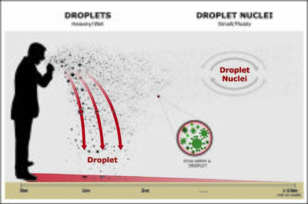 Spread of Coronavirus - COVID19のイラスト素材