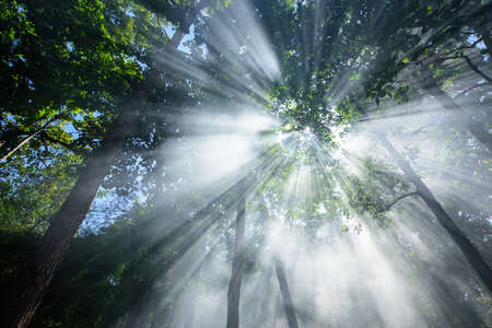 the light from the sky in the morning.