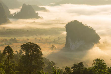 The picture of landscape before sunrise in Thailand.の写真素材