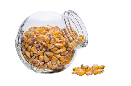 Dried indian corn in glass bottle