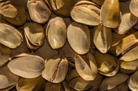 Dried pistachio big scale for backgroundの写真素材