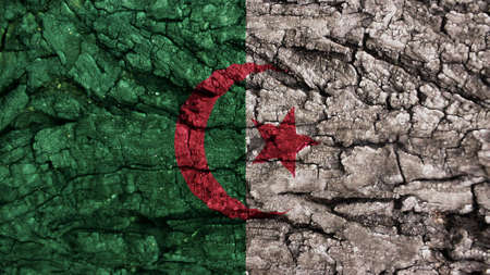Algeria flag rough textureの写真素材