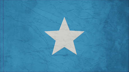 somalia Flag Crepe Paper textureの写真素材