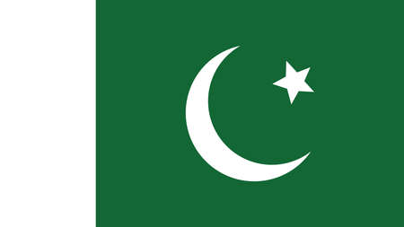 pakistan Flag for Independence Day and infographic Vector illustration.のイラスト素材