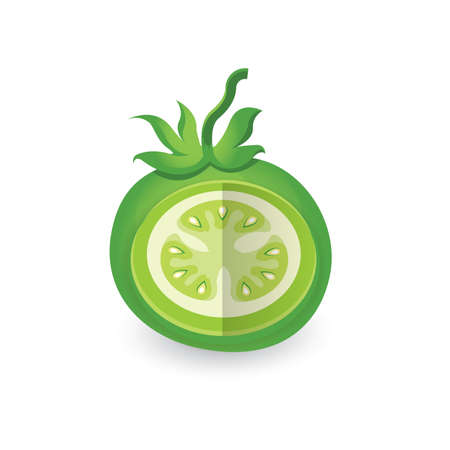 dissect Green Tomato 3D Iconのイラスト素材