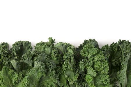 Fresh green kale vegetable leaves top view flat lay on white background. Healthy organic food concept. Leaf cabbage in studio.の写真素材