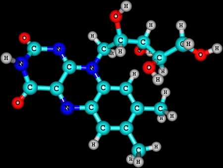 Riboflavin (vitamin B2)  is an easily absorbed colored micronutrient with a key role in maintaining health in humans and other animals.の写真素材