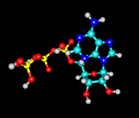 Adenosine triphosphate  ATP  molecule isolated on blackの写真素材
